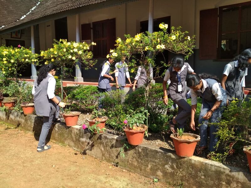 പ്രമാണം:29032 425.jpg