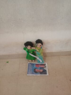 33027 Dt we fair .jpeg