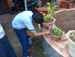 33056 campus 10.jpeg