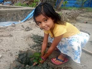 34313 june 5 en.jpeg