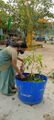 12:05, 2 ഫെബ്രുവരി 2022-ലെ പതിപ്പിന്റെ ലഘുചിത്രം