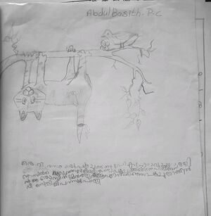 47042-KKD-KUNJ-ABDUL BASITH P C.jpeg