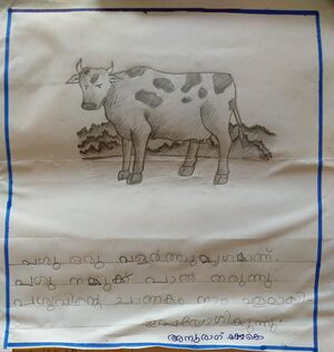 47070-KKD-KUNJ-ANURAG K K.jpeg