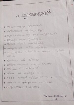 Muhammed minhaj k.jpg