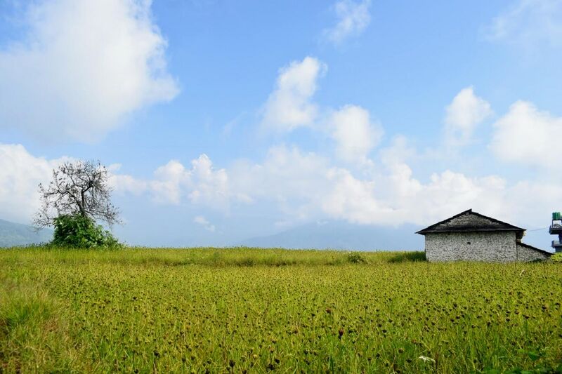 പ്രമാണം:Suriyaelizabethyooby dhampus.jpeg