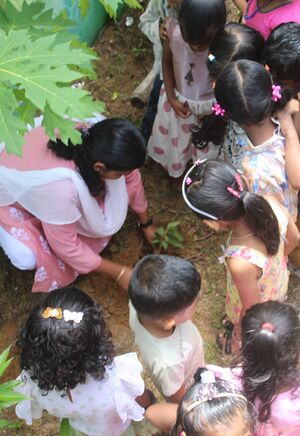 12036 june 5 2025 paristhithi day 12.JPG