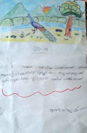 13452 - KNR - KUNJU -ABHIAY KRISHNA.jpg