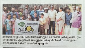 20346 papr reprt 1.jpg