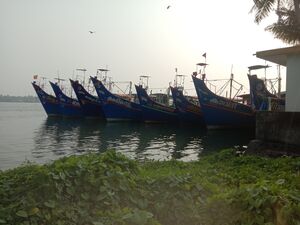 23446 My village Boat jetty.jpg