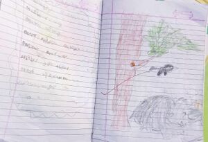 27219-EKM-ADINATH AJITH.jpg