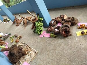 29312 karshikam13.jpg