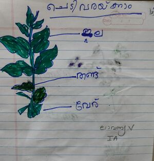 30317-IDK-KUNJ-LAVANYA V.jpg