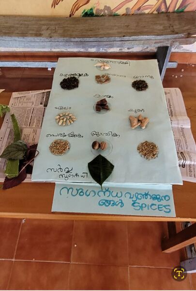 പ്രമാണം:36455WhatsApp Image 2025-06-23 at 20.14.52.jpeg