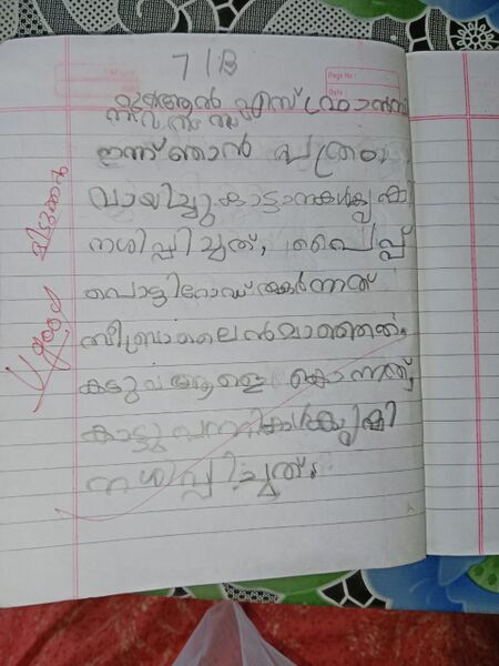 പ്രമാണം:47667-KKD-KUNJ-RUAN.jpeg