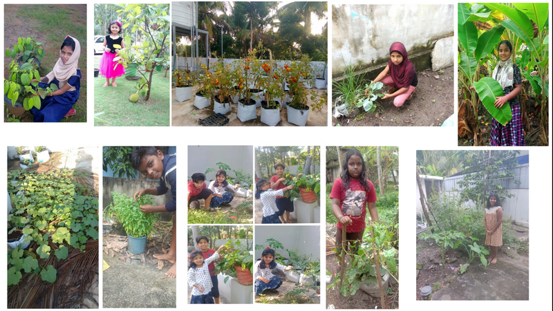 പ്രമാണം:Krishi skv.png