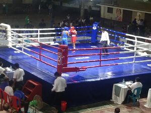 Ksk-2024-boxing-25049-Ghss Kadayiruppu-08.jpg