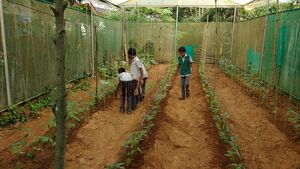 Tharu 10.resized.jpg