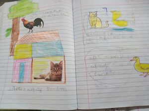 13918-KNR-KUNJ-AMALDEEP UNNI.jpg