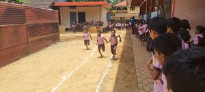 19546 Hitech sports.jpeg