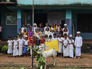 19833-MLP- Bashi.jpg