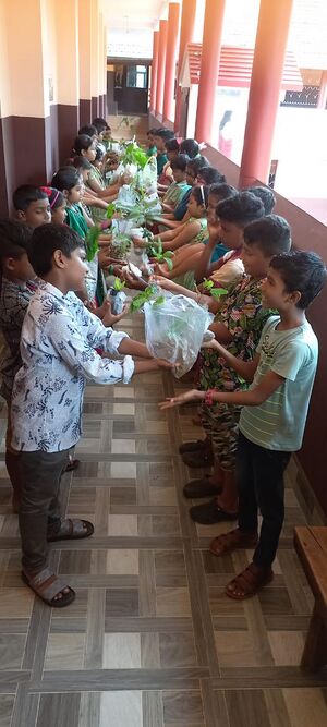 22415 environment day.jpg