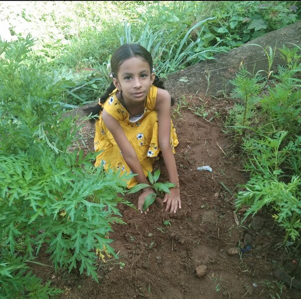 പ്രമാണം:23242 Environment Day.jpg