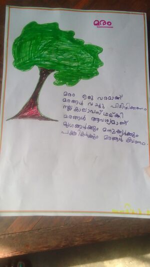 23306-18 ANAMIKA K P.jpeg