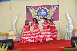 24071-ANNUAL DAY 7.resized.JPG