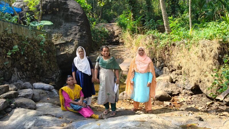 പ്രമാണം:29228 vis3.jpg