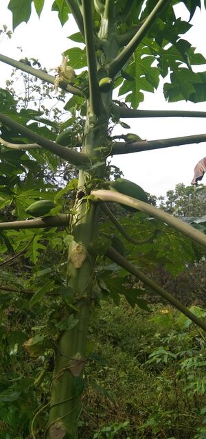 29312 environmentclub28.jpeg