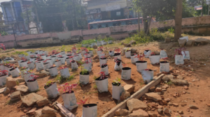 32140100317 Krishi.png