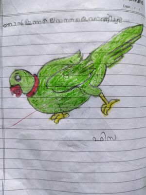 34330-ALP-KUNJ-FIZHAMINHA M N.jpg