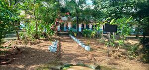 37430 Schoolimage.jpeg