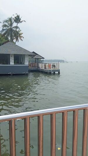 41055 Ashtamudy Lake.jpg