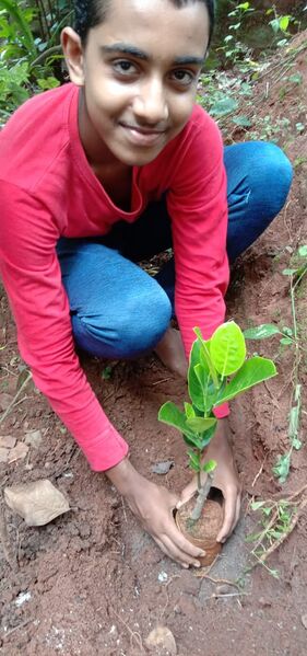 പ്രമാണം:44050 eco 67.jpeg