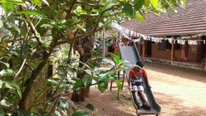 BS21 PTA 37303 2.jpg