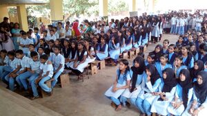 IMG 20151208 114951.jpg