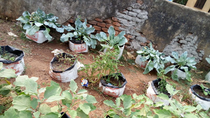 പ്രമാണം:IMG 20170221 155409.jpg