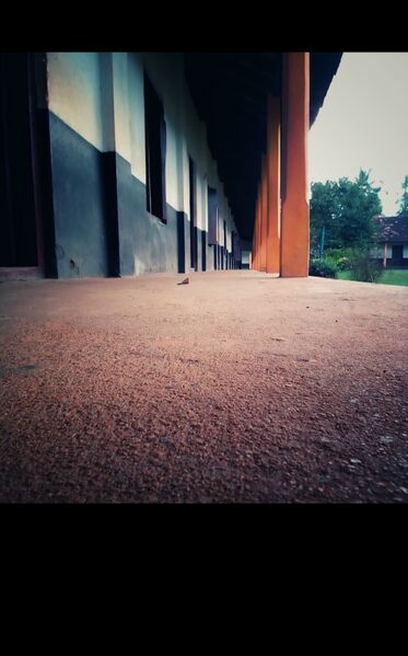 പ്രമാണം:IMG 20250124 202112.jpg