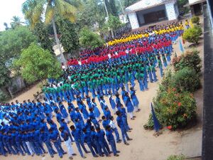 Sports12 35052 (1).jpg