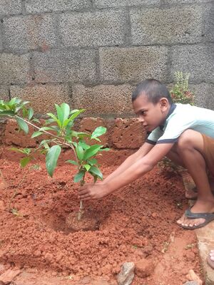 ലോക പരിസ്ഥിതി ദിനം (2021)6.jpg