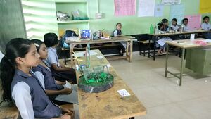 12017 sciencefair10 2024.jpg