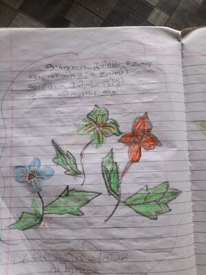 18574-MLP-KUNJ-FATHIMA FILZA U.jpg