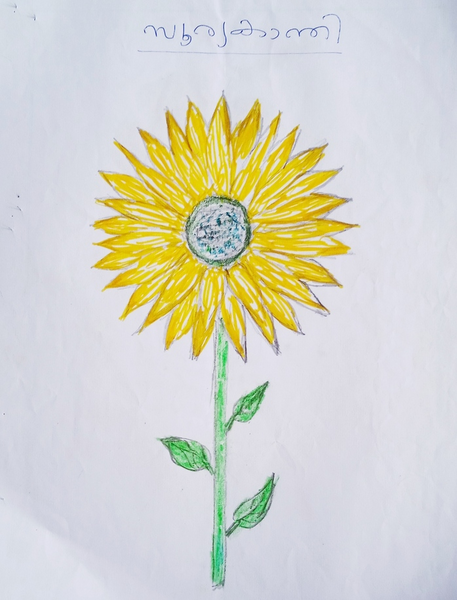 പ്രമാണം:19865-MLP-KUNJ-ALEENA IA.png