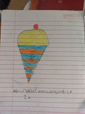 20312-PKD-KUNJ-MUHAMMED FAISAN C P.jpg