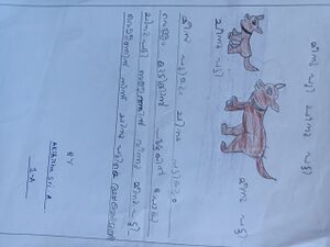 21357-PKD-KUNJ-AKSHITHA SRI A.jpeg