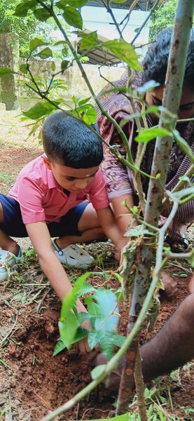 പ്രമാണം:24348 gbs pd 6.jpg