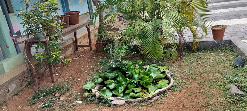 പ്രമാണം:25635 Jaivodyanam march.jpg