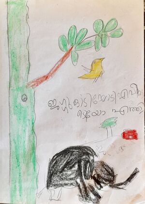 28527-EKM-KUNJ-ALAN KURIAKOSE2.jpg