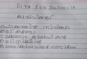 29359-IDK-KUNJ-DIYA ROSE.png